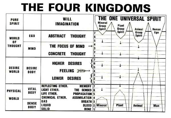 world-kindom